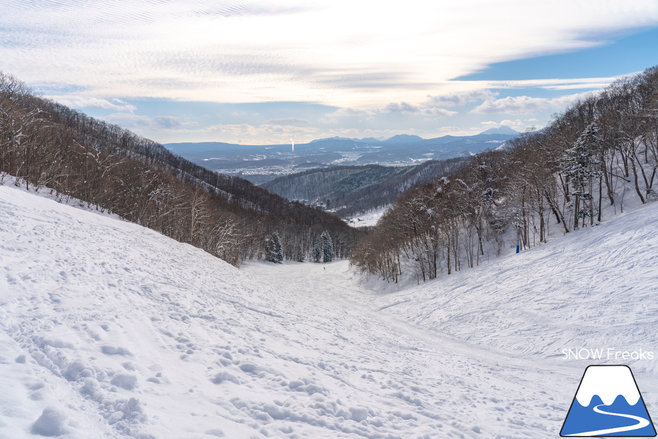 札幌藻岩山スキー場｜ふわっふわの粉雪シーズン到来！思いっきり多彩なコースを楽しみましょう！